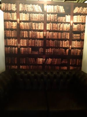 00354 wandpaneel boekenkast